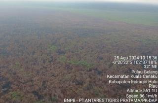 Kebakaran Hutan di Kuala Cenaku Indragiri Hulu Padam Total, Riau Nihil Karhutla