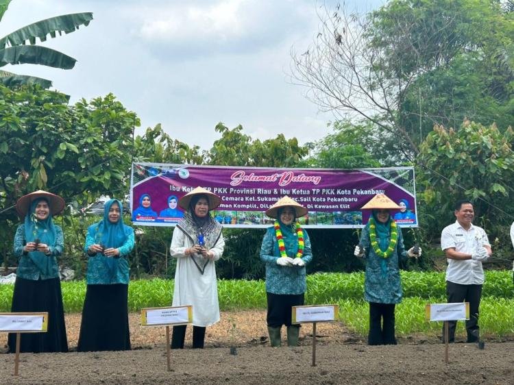 Berikan 1.000 Bibit Cabai, Pj Ketua TP PKK Puji Wanita Hebat Produktif di KWT Cemara
