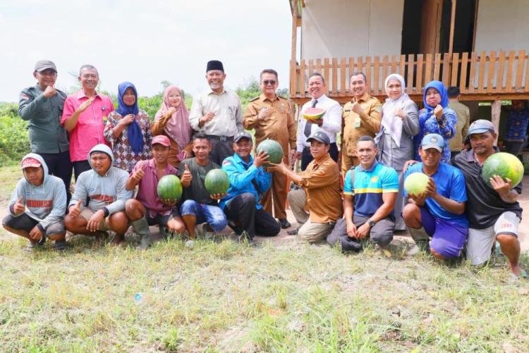 Sulap Lahan Kosong Jadi Kebun Buah, Kelompok Tani Siak Untung Rp200 Juta dari Panen Semangka