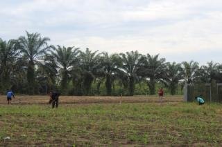 Dukung Ketahanan Pangan Daerah, Pemkab Kampar Lakukan Kerja Sama dengan Lapas 2 A Bangkinang