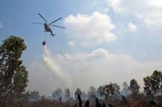 4 Heli Water Bombing Dikerahkan Bantu Padamkan Kathutla di Riau