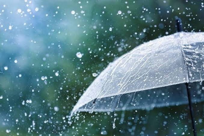 Prakiraan Cuaca Riau Hari Ini: Hujan Lebat Disertai Petir