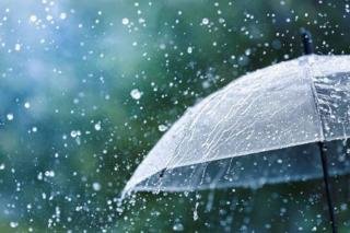 Waspada Hujan Lebat dan Petir, Ini Prakiraan Cuaca Riau 9 Desember 2024