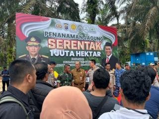 Pemprov Riau Dukung Swasembada Ketahanan Pangan, Gerakkan Sumber Daya Pertanian di Riau