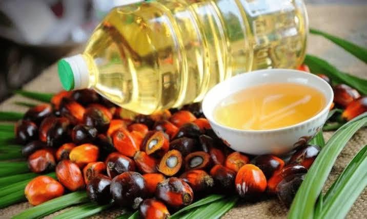 Harga TBS Kelapa Sawit Swadaya di Riau Naik, Petani Sawit Semakin Diuntungkan