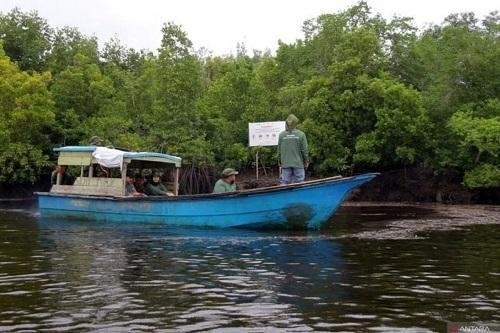 Desa Teluk Pambang Sukses Turunkan Laju Kerusakan Hutan Mangrove 96 Persen
