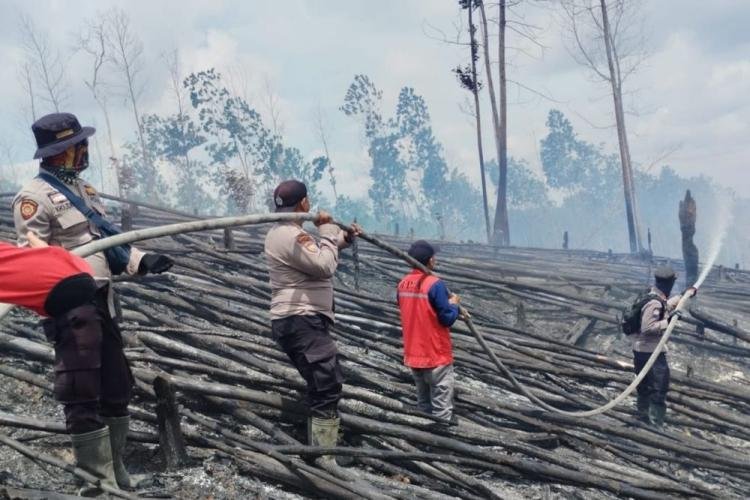 5 Hektare Habitat Gajah dan Harimau di TNTN Riau Terbakar