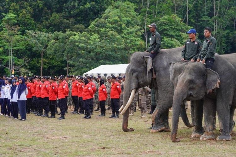 Menhut: Jambore Karhutla Riau 2025 Bukti Komitmen Jaga Hutan dari Kebakaran