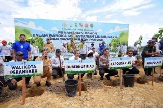Dukung Pelestarian Lingkungan, Pemprov Riau Tanam 15 Ribu Bibit Pohon