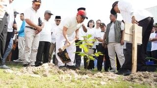 Berpartisipasi Gerakan 1 Juta Pohon Matoa, Riau Tanam 18.540 Bibit