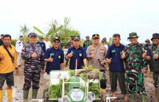 Bupati Asmar Tanam Padi Serentak Bersama Presiden Prabowo