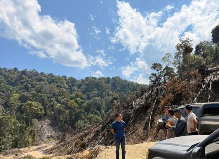 Niat Tanam Sawit, 3 Pembakar Hutan 10 Hektare Diamankan Polisi