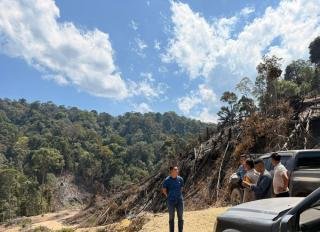 Niat Tanam Sawit, 3 Pembakar Hutan 10 Hektare Diamankan Polisi