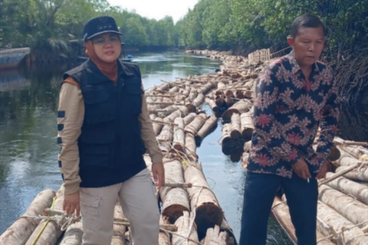 Bupati Siak Terkejut Temukan Ribuan Kayu Diduga Ilegal Sungai Apit