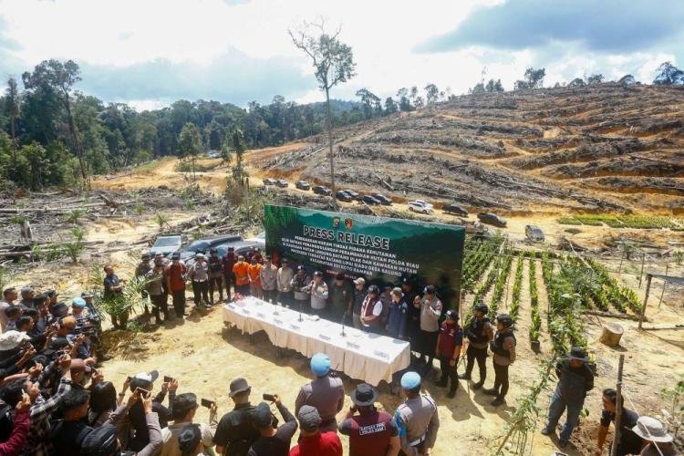Polda Riau Ungkap Praktik Bagi Hasil Lahan Hutan Lindung
