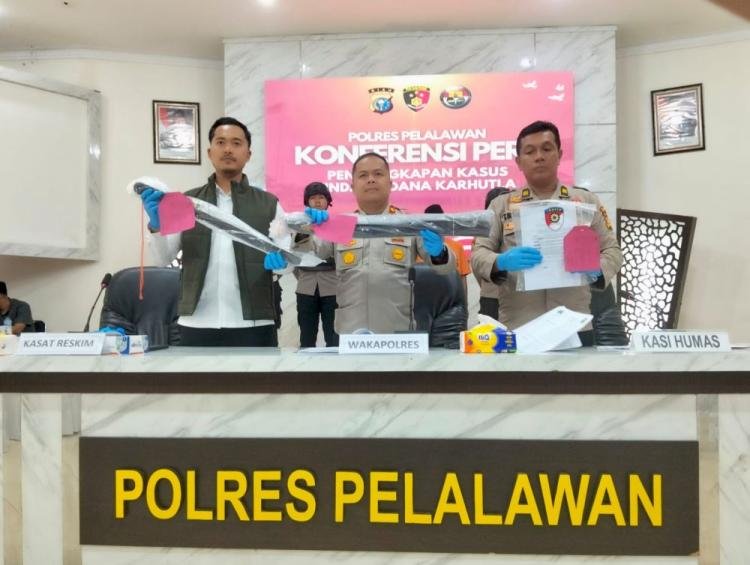 10 Hektar Lahan TNTN Hangus Dibakar, Dua Pembeli Tanah Diringkus