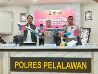 10 Hektar Lahan TNTN Hangus Dibakar, Dua Pembeli Tanah Diringkus