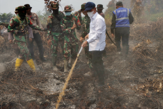 Menteri Lingkungan Hidup Turun Langsung Padamkan Karhutla di Rohil