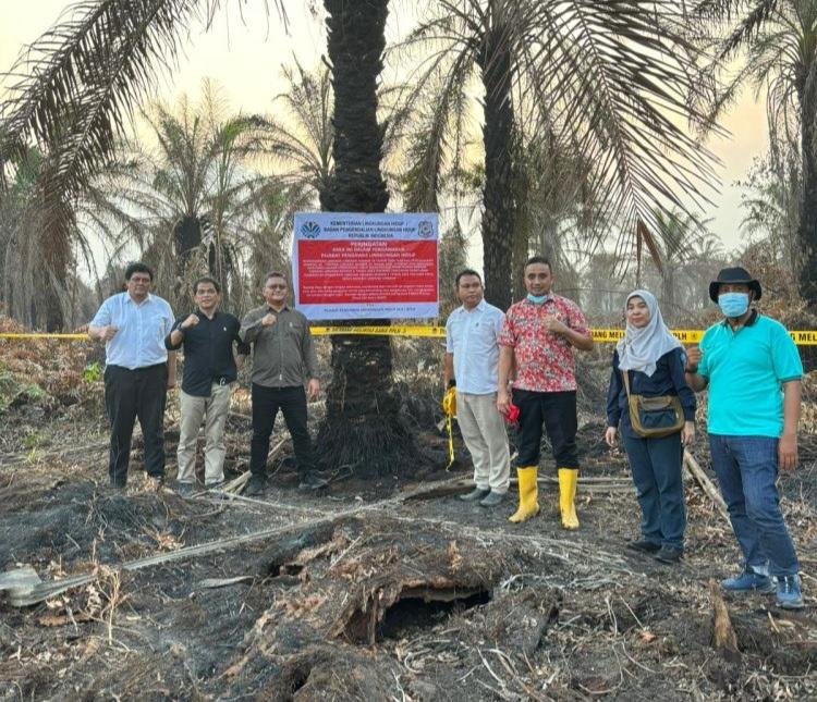 KLH Segel 4 Perusahaan dan Tutup Satu Pabrik Sawit Terkait Karhutla Riau