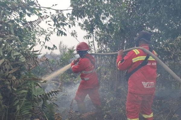 Riau Berpotensi Hujan, Hotspot Masih Terdeteksi 156 Titik