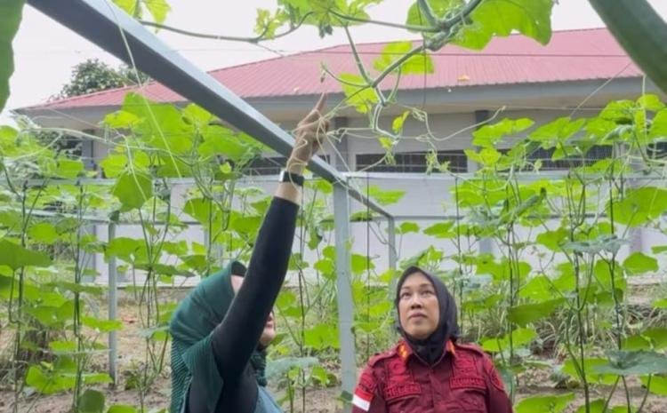 BPTP Riau Dampingi Budidaya Labu Madu di Lapas Rumbai, Warga Binaan Dapat Ilmu Bertani
