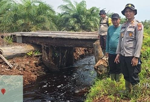 Pasukan Jenderal Temukan Dugaan Pembalak Liar Dekat Cagar Biosfer Bengkalis, Kapolres: Kosong
