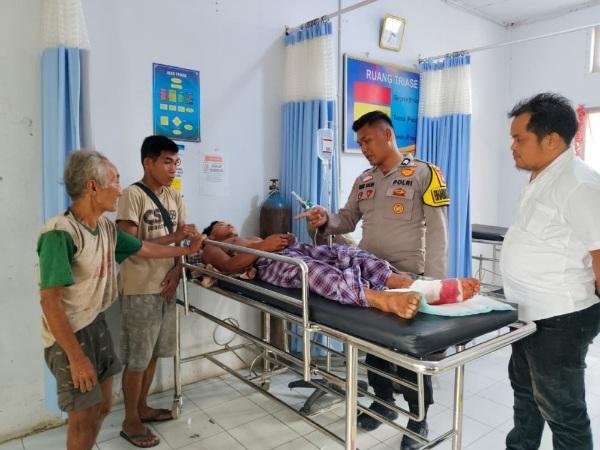 BBKSDA Duga Harimau Serang Warga karena Sedang Latih Anaknya Cari Mangsa
