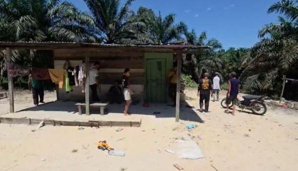 Gajah Liar Mengamuk di Permukiman Rumbai, Satu Anak Dilarikan ke RSUD Arifin Achmad