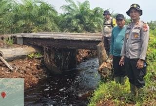 Pasukan Jenderal Temukan Dugaan Pembalak Liar Dekat Cagar Biosfer Bengkalis, Kapolres: Kosong