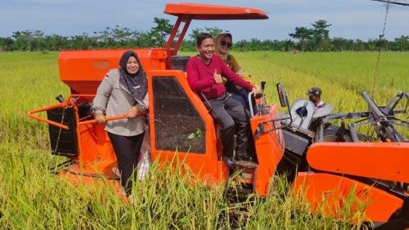 Panen Raya Padi di Pedamaran: Sinergi BUMDES dan Petani Hasilkan 84 Ton Beras