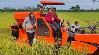 Panen Raya Padi di Pedamaran: Sinergi BUMDES dan Petani Hasilkan 84 Ton Beras