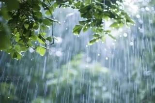 15 Desember 2025 Sejumlah Wilayah Riau Berpotensi Diguyur Hujan