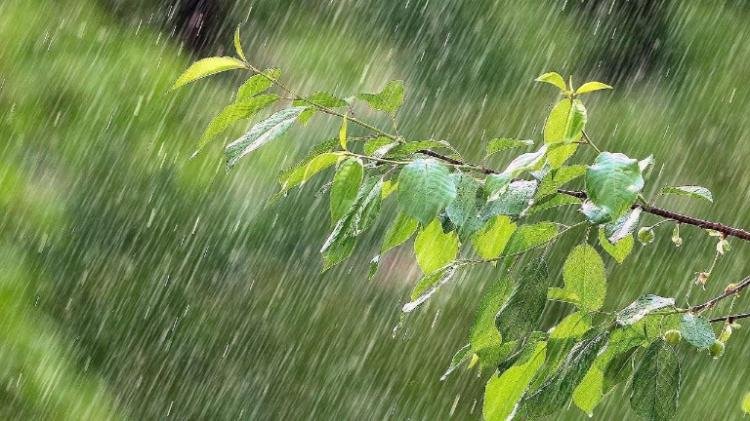 Waspada Hujan di Sebagian Riau Hari Ini, Gelombang Tinggi Berpeluang di Inhil