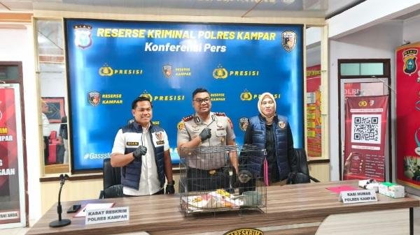Patok Harga Rp 8 Juta, Transaksi Ilegal Owa Ungko Berakhir di Tangan Polisi