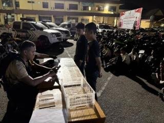 Terjaring Razia Gabungan di Pekanbaru 28 Motor Ditilang