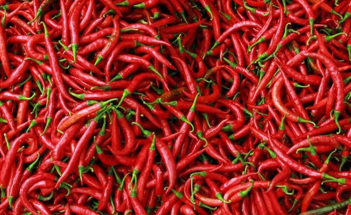 Harga Cabai Merah di Pekanbaru Masih Stabil