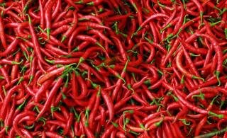 Harga Cabai Merah di Pekanbaru Masih Stabil