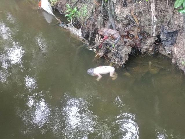 Mayat Bayi Mengapung di Parit Perumahan Graha Panam Permai, Diduga Baru Dilahirkan