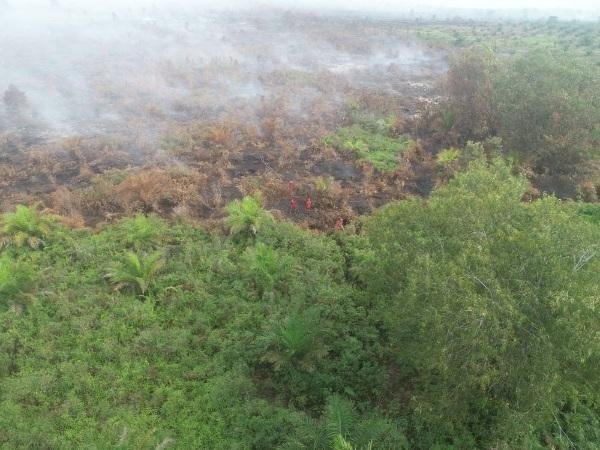 Sebanyak15 Titik Api Terpantau, Bengkalis dan Pelalawan Masih Jadi Fokus Pemadaman