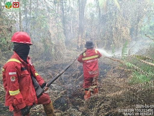 Angin Berputar dan Vegetasi Kering Hambat Manggala Agni Padamkan Karhutla di Sokoi