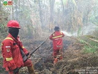 Angin Berputar dan Vegetasi Kering Hambat Manggala Agni Padamkan Karhutla di Sokoi
