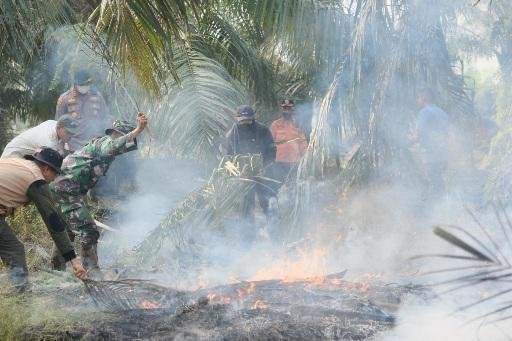 Turun ke Gambut Cagar Biosfer, Bupati Afni Padamkan Bara Api Pakai Pelepah Sawit