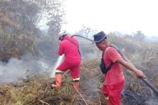 Manggala Agni Masih Padamkan Karhutla di Enam Titik di 4 Kabupaten di Riau